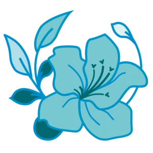 Symbolisation graphique de l'activité de conseillère en Elixirs des fleurs du bush Australien de Bénédicte Stalla-Bourdillon