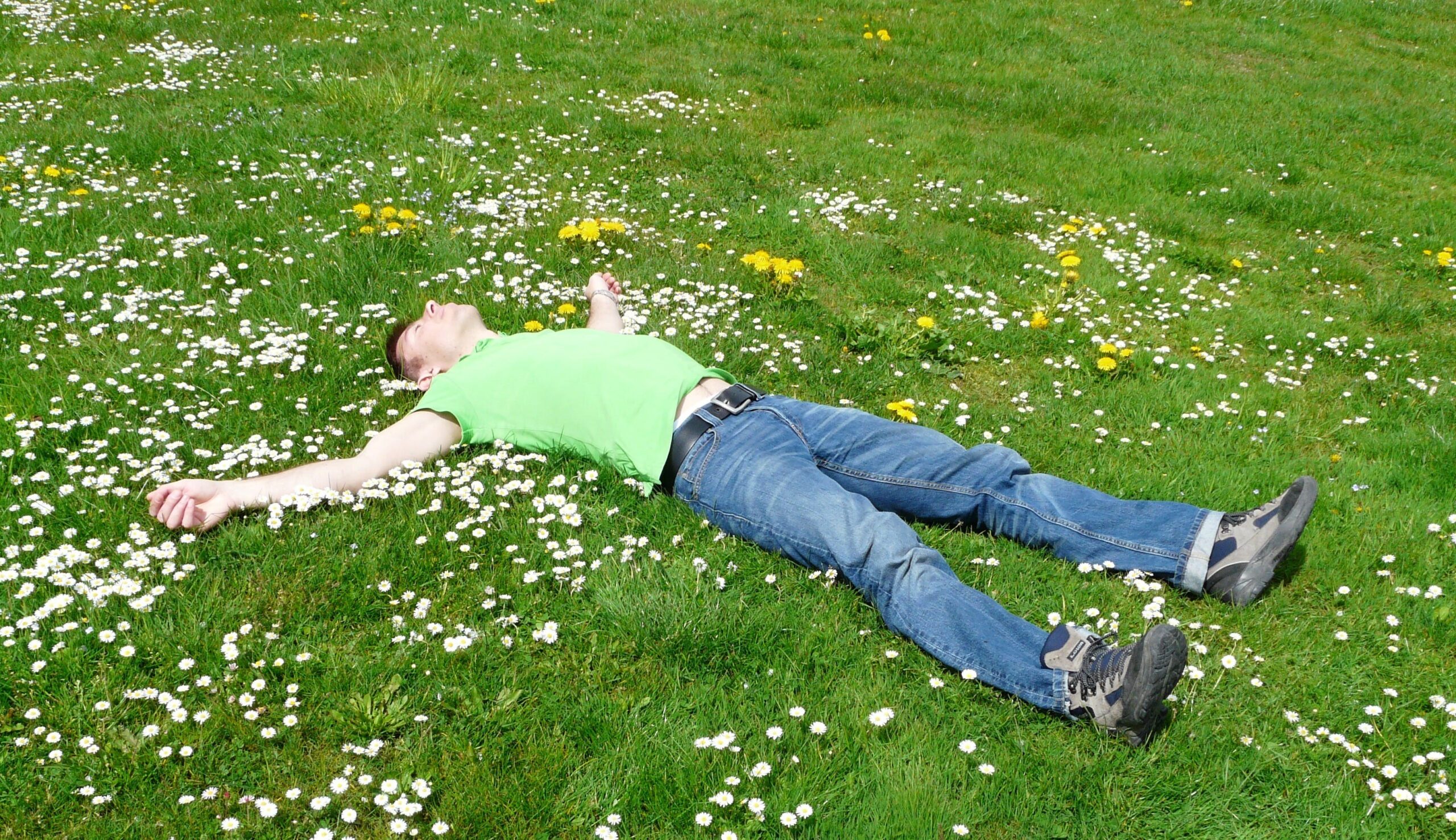 jeune homme étendu dans l'herbe